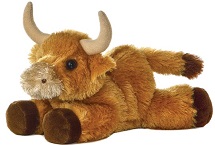 TORO ORO, ORANGE